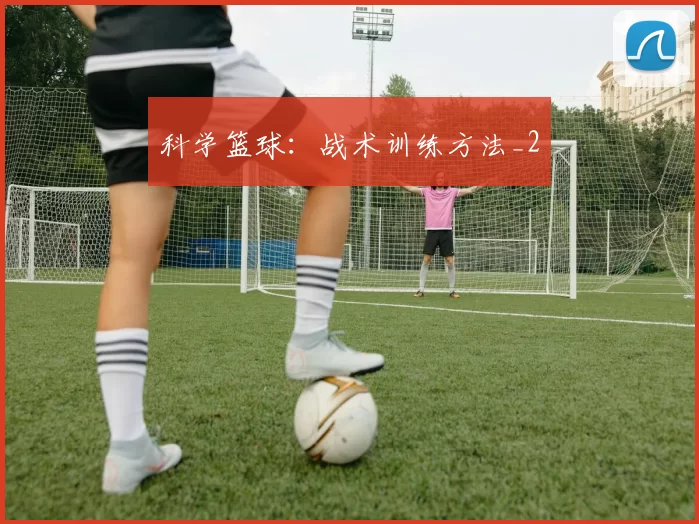 科学篮球：战术训练方法_2