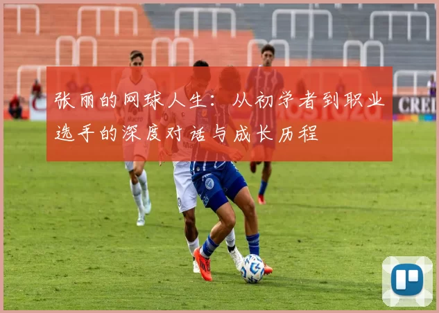 张丽的网球人生：从初学者到职业选手的深度对话与成长历程